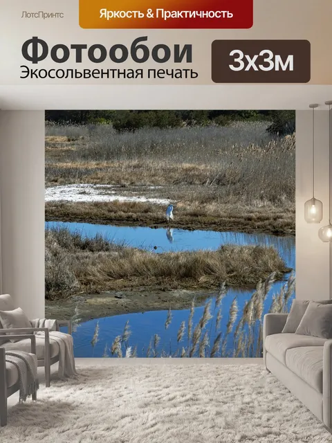 Фотообои Парк