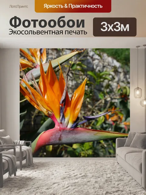 Фотообои Стрельба