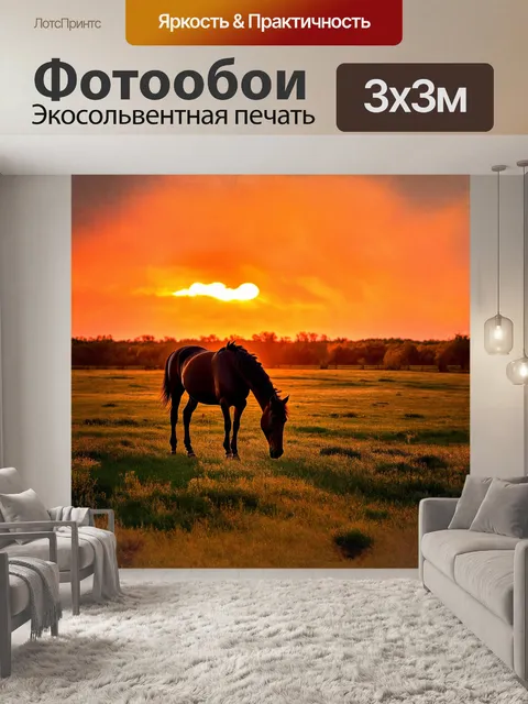 Фотообои черная лошадь мирно пасется на огромном пастбище, ей вторят шумные звуки природы