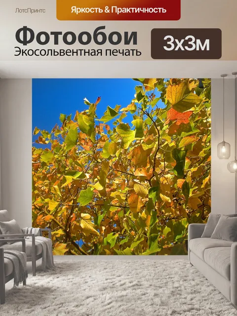 Фотообои Осенью