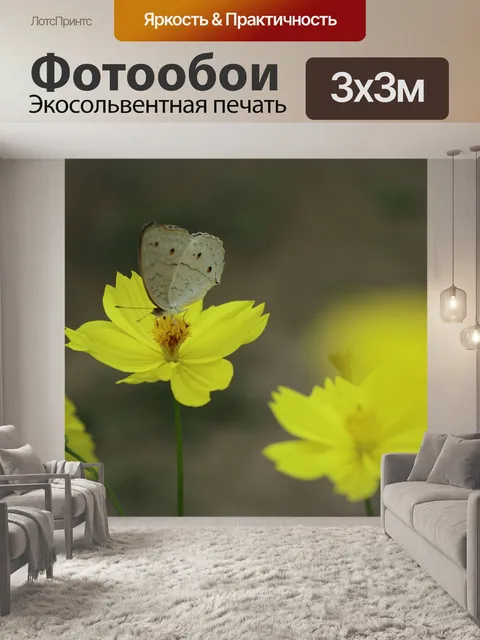 Фотообои Бабочка