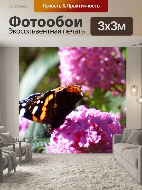 Фотообои Бабочка