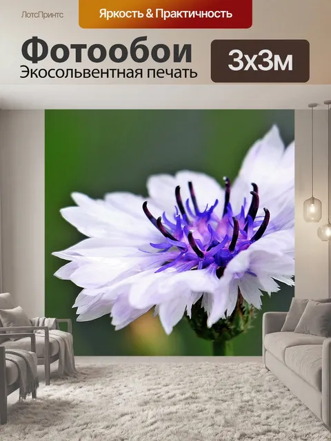 Фотообои Васильковый