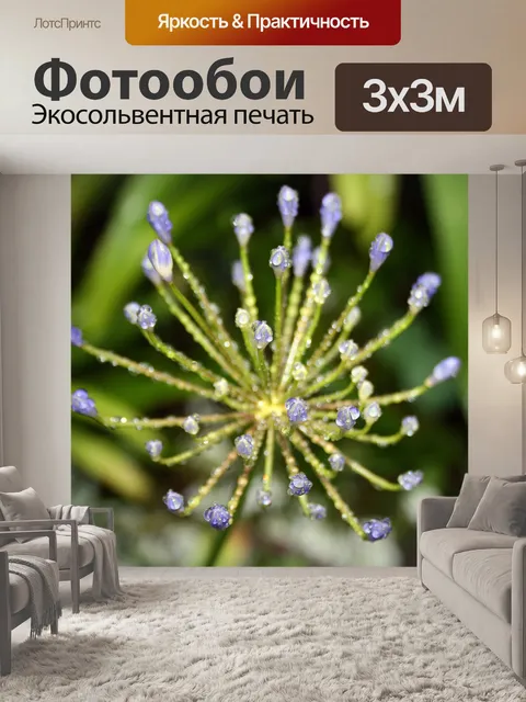 Фотообои лакомство капель на почки