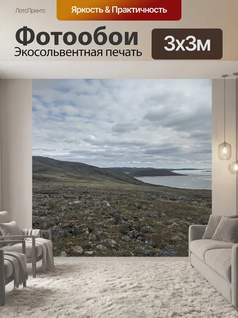 Фотообои Арктический