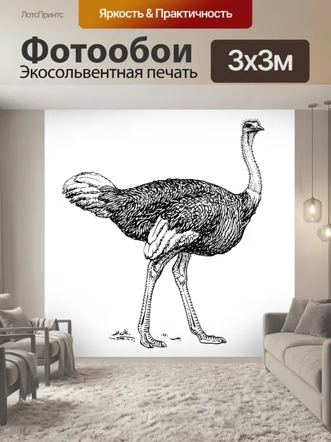 Фотообои Винтажная иллюстрация страуса