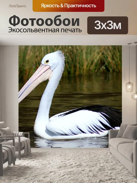 Фотообои Птица