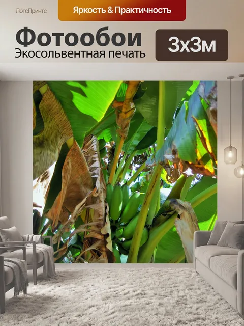 Фотообои банановое дерево