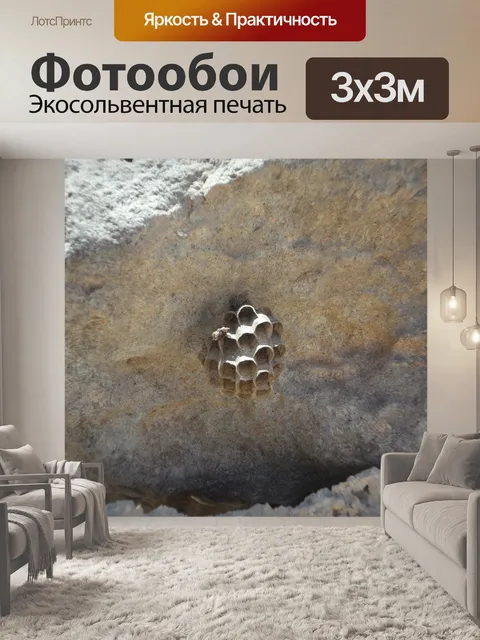Фотообои Осиное гнездо