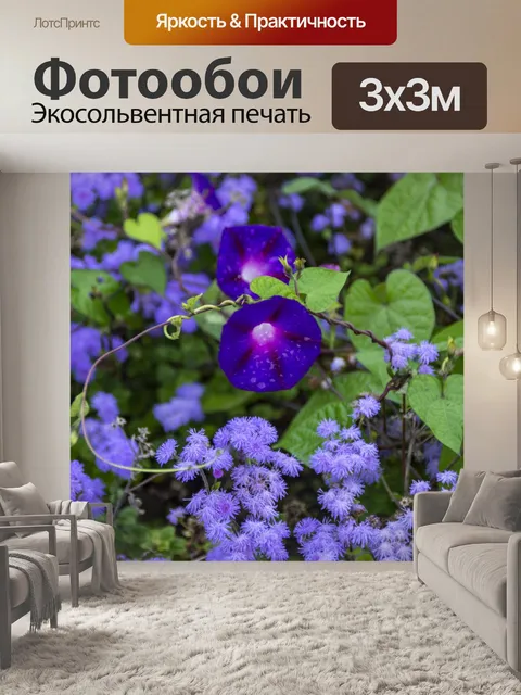 Фотообои цветы под дождем