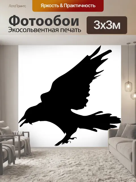 Фотообои черный ястреб