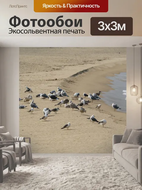 Фотообои Чайка
