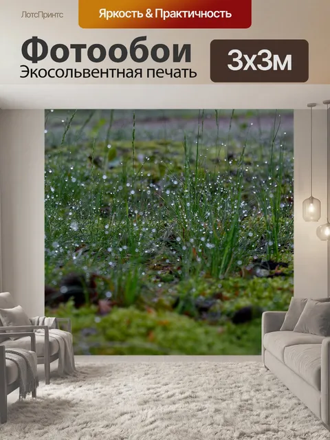 Фотообои Луг