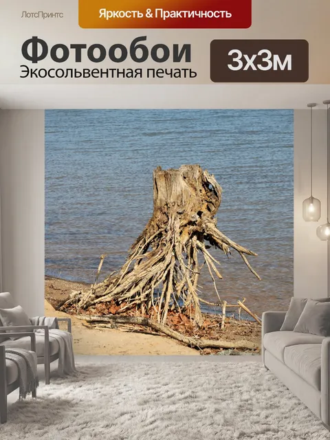 Фотообои Дрейфующий лес на пляже