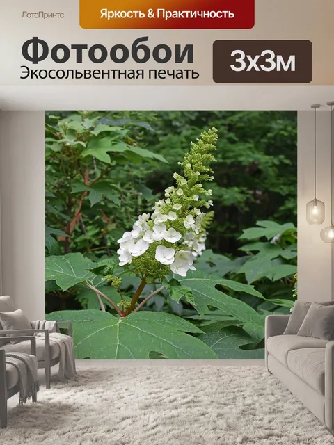 Фотообои Дубовая гортензия