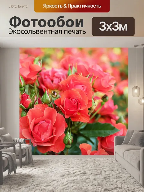 Фотообои Розы