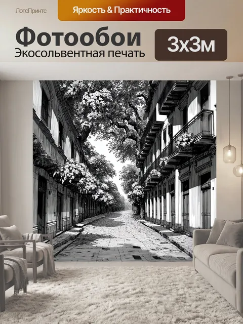 Фотообои черно-белый: старинный городской пейзаж с узкими улочками и изящными балконами, украшенными цветами