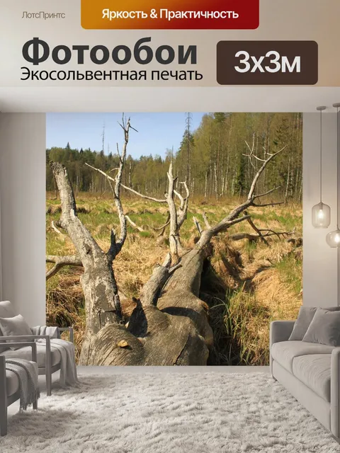 Фотообои Поваленное дерево