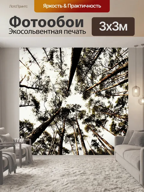 Фотообои Деревья