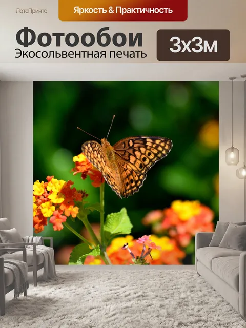 Фотообои Бабочка бабочки в саду