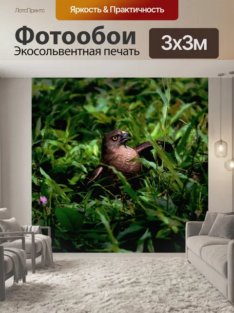 Фотообои Птица