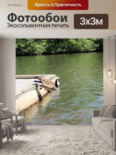 Фотообои И мы едем