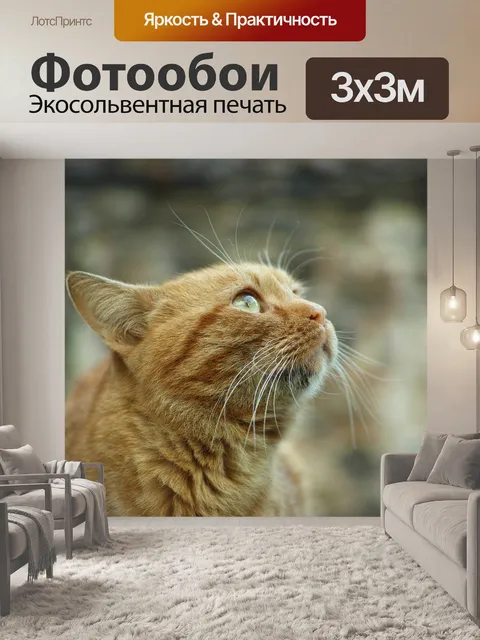 Фотообои Кошка