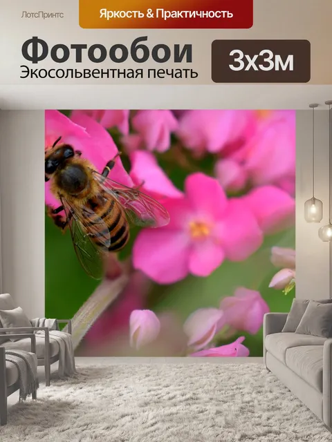Фотообои Цветы