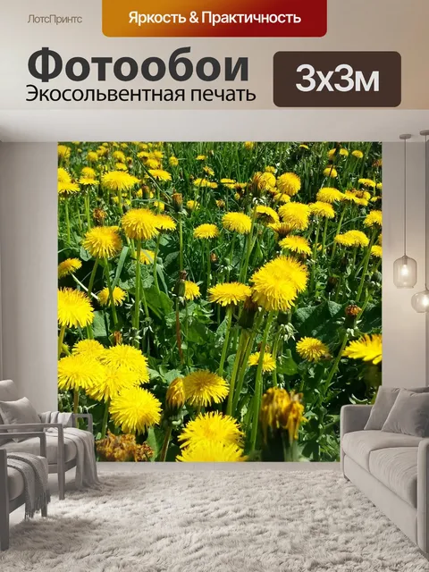 Фотообои Весенний луг