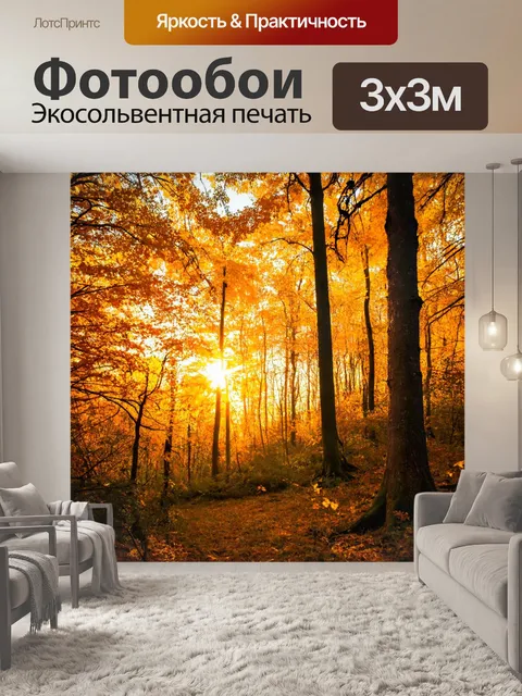 Фотообои волшебный лес с ярким закатом, деревья с золотыми листьями, магическая атмосфера