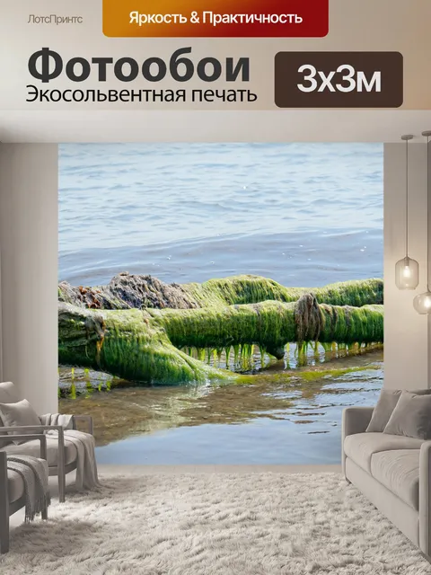 Фотообои Водоросли