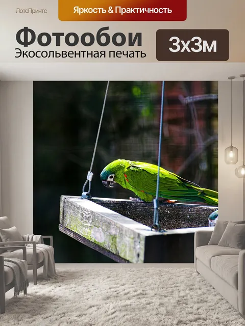 Фотообои Птица
