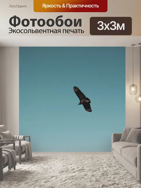 Фотообои Птица