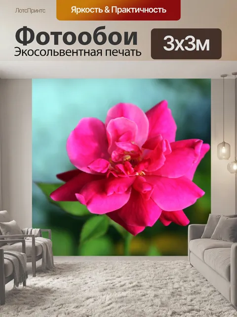 Фотообои Красота розовый цветок