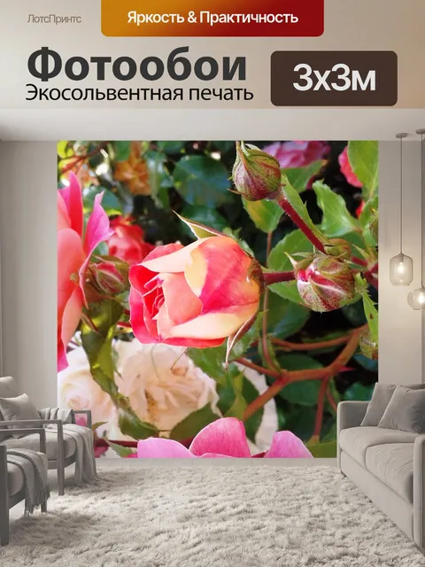 Фотообои Роза