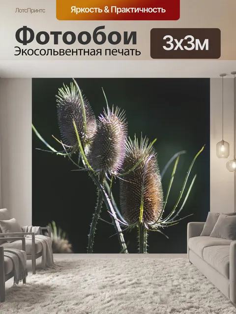 Фотообои Цветы