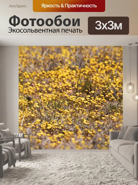 Фотообои Желтые цветы