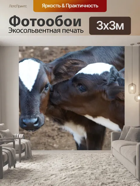 Фотообои Телец