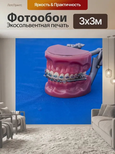 Фотообои Зубы Макет фона