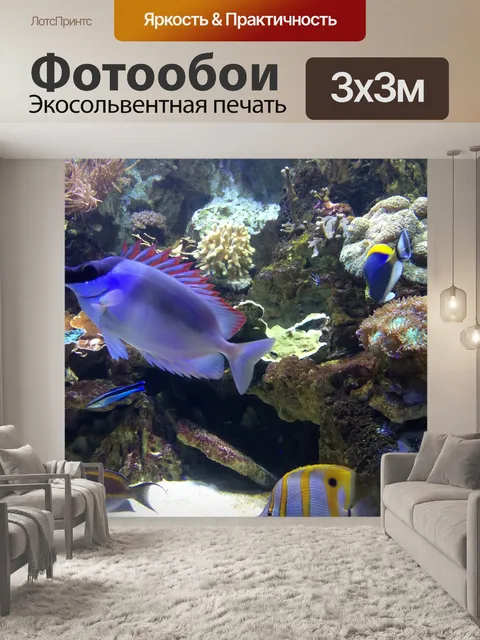 Фотообои Рыбы
