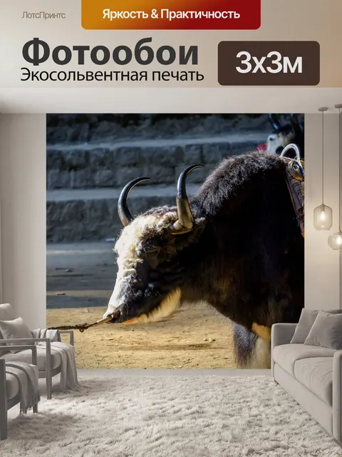 Фотообои Манали