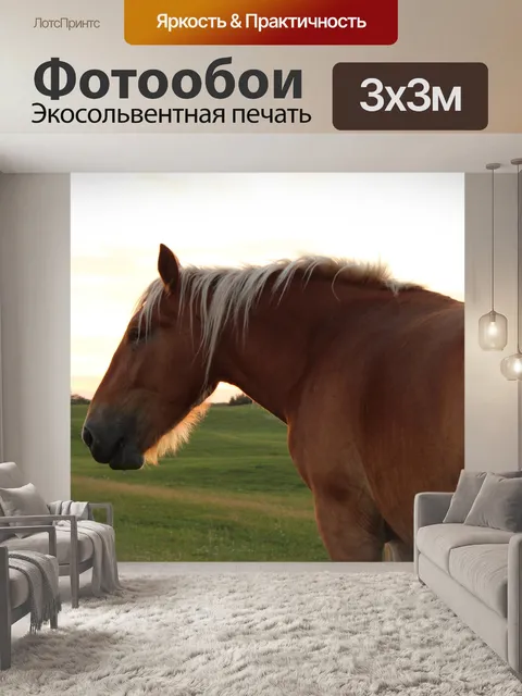 Фотообои Коричневый лошадь на пастбище