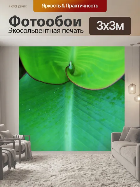 Фотообои большие канны листья