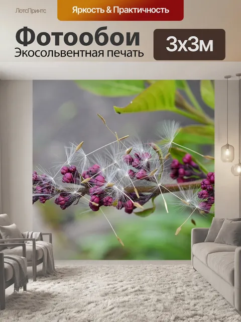 Фотообои Сирень