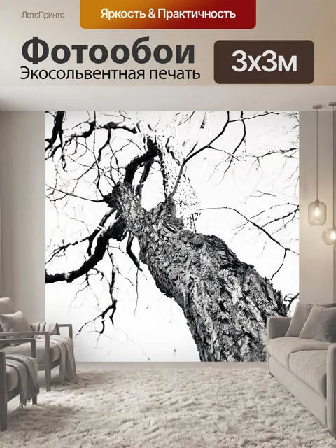 Фотообои Японский изюм ствол дерева в б &amp; W