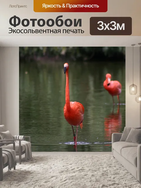 Фотообои Фламинго