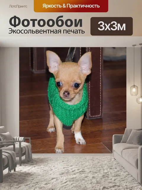 Фотообои Талисман