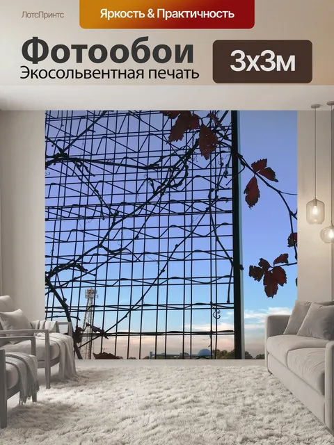 Фотообои Город