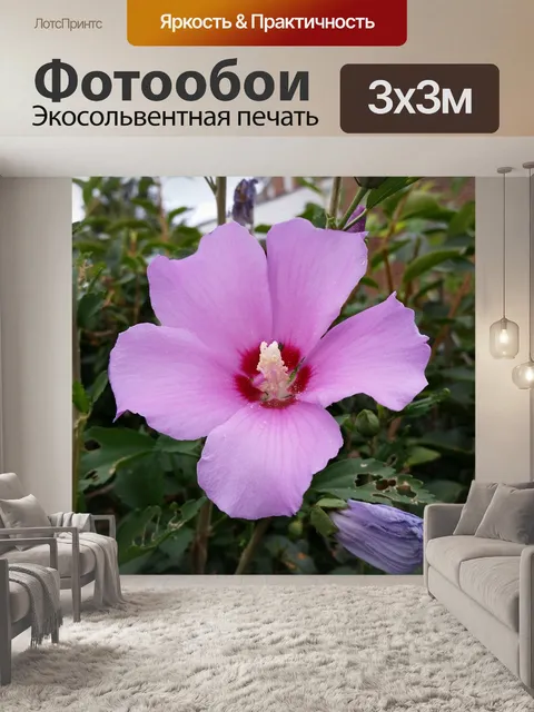Фотообои Цветок
