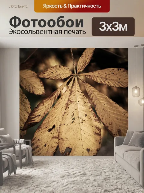 Фотообои Осенние листья
